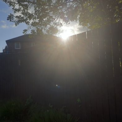 tsa_PhotoClubHomeLearning (61)
